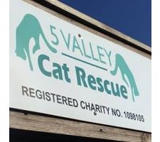 Photo of 5 Valley Cat Rescue Photo of 5 Valley Cat Rescue