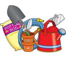 Photo of Box Gardening Club Photo of Box Gardening Club