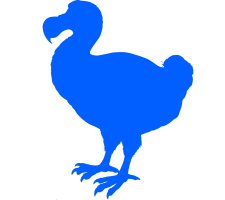 Photo of Dodo Solutions Photo of Dodo Solutions