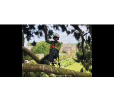 Photo of Five Valleys Arbor Tree Care Specialists Photo of Five Valleys Arbor Tree Care Specialists