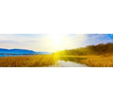 Photo of Heartshore Consulting Photo of Heartshore Consulting