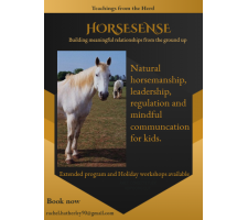 Photo of Heartshore Horses Photo of Heartshore Horses