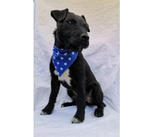 Photo of Jimmytwosocks Creative Photo of Jimmytwosocks Creative