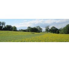 Photo of Minchinhampton Walking and Wildlife Group Photo of Minchinhampton Walking and Wildlife Group