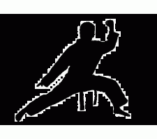 Photo of Tai Chi Qi Gong Photo of Tai Chi Qi Gong